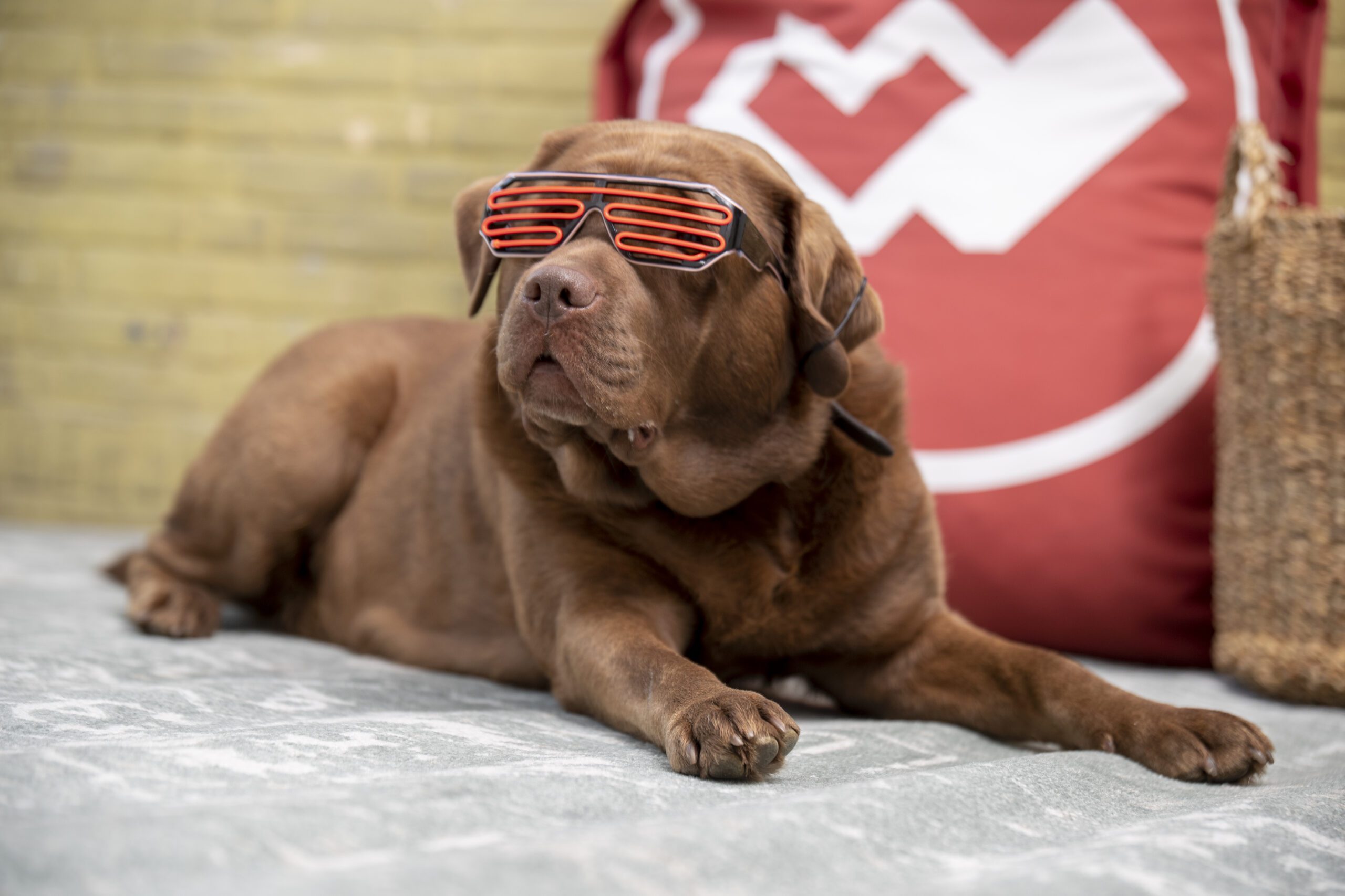 Deze social media trends mag je in 2022 niet missen!