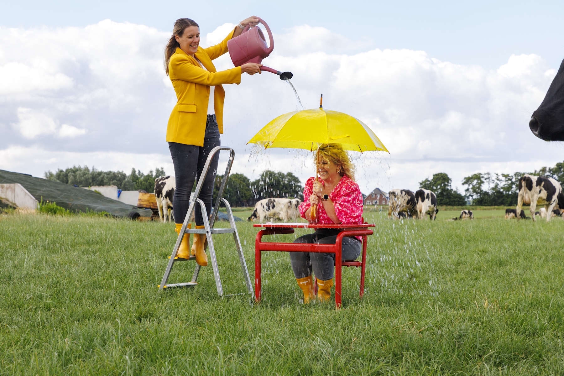 Webwinkelkeurmerken: alle informatie op een rij