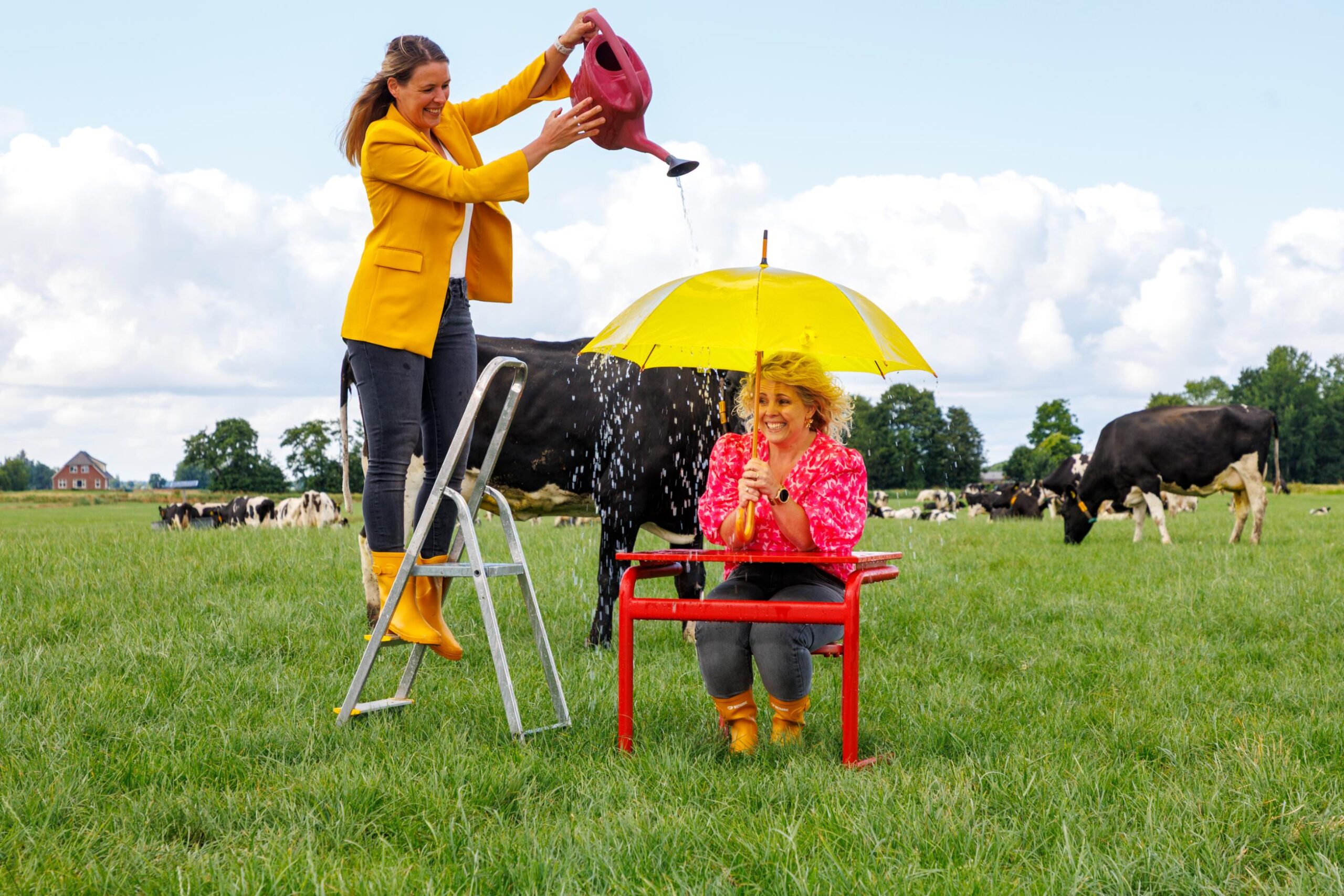 Svea en moniek in weiland