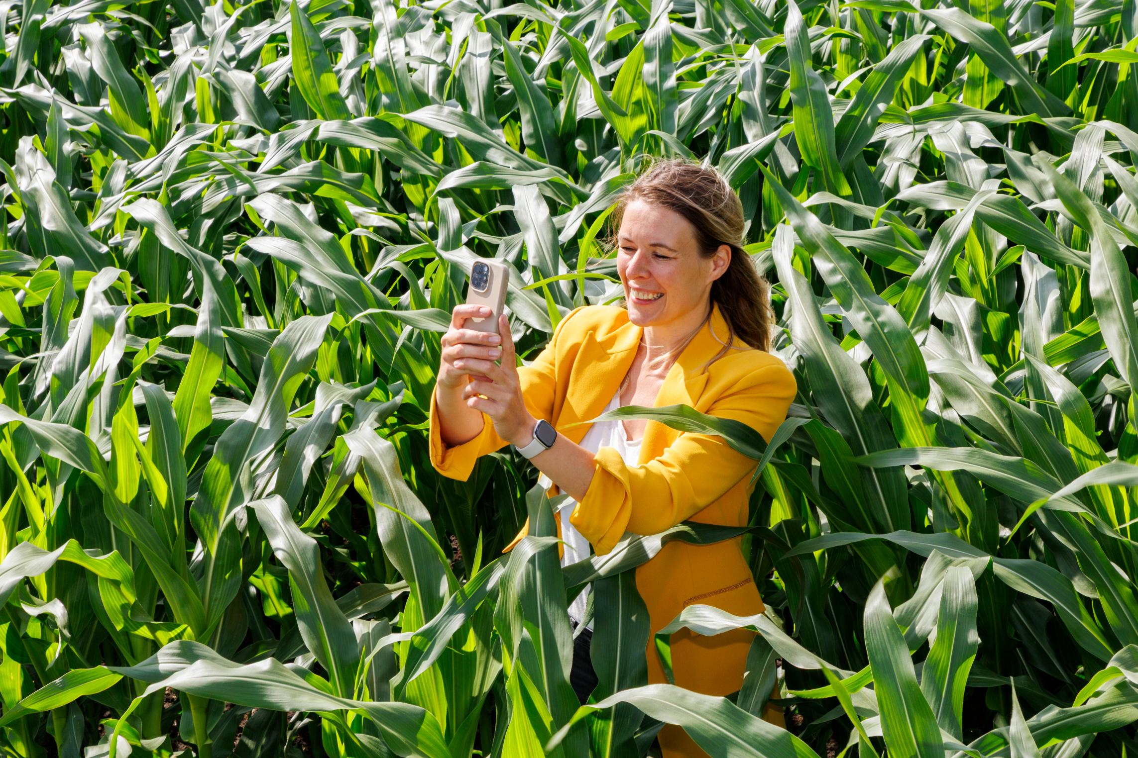 SERP: punten om rekening mee te houden