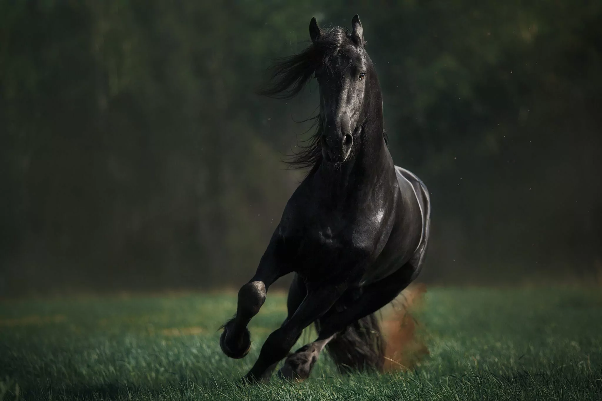 JongKFPS Sponsoring Wefabric